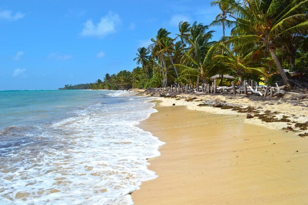 Palm-lined Nicaraguan beach with driftwood and a thatched-roof rancho