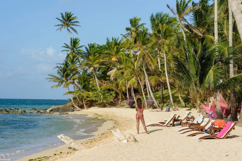Lively beach scene with sunbathers, hammocks, and lounge chairs under palm trees