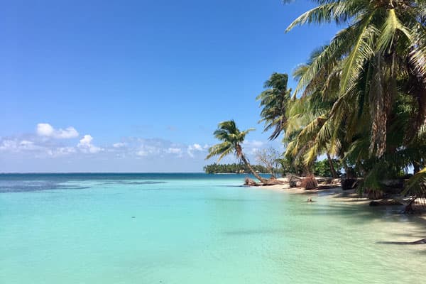 Turquoise Caribbean cay with palm trees and shallow water