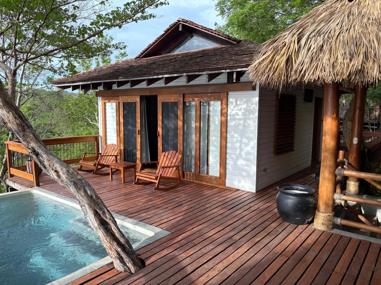 Wooden deck and bench overlooking the jungle canopy